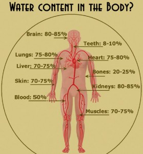 blogimagewaterbody